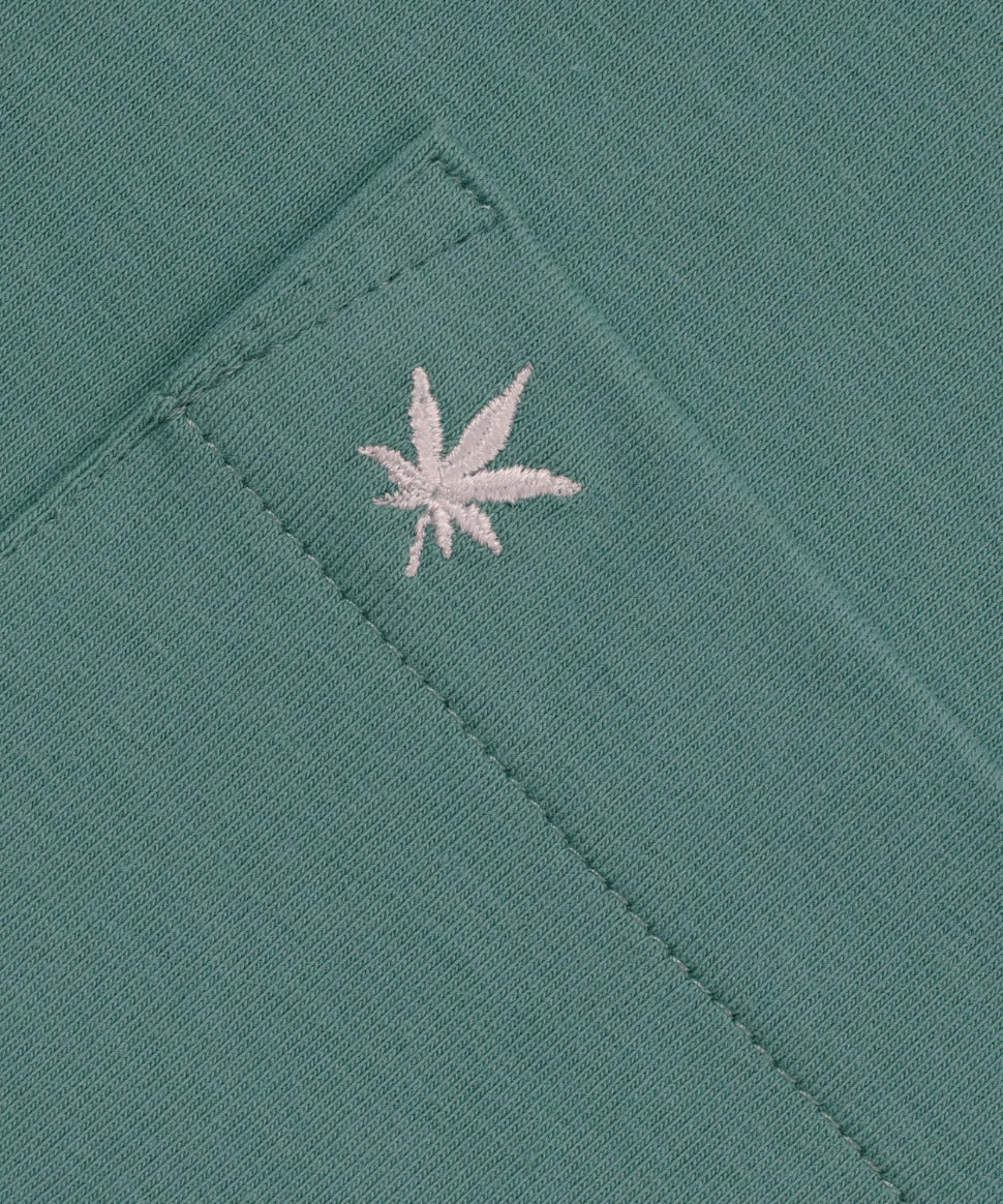 Club Polo Dress